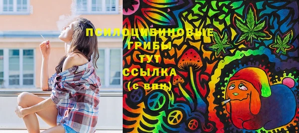 герыч Алзамай