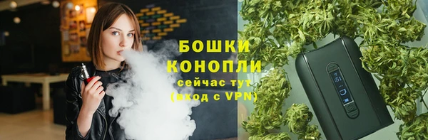 индика Алексеевка
