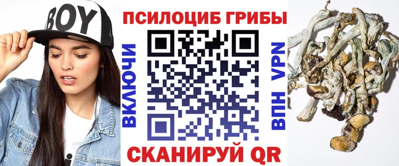 закладка  Южно-Сахалинск  Псилоцибиновые грибы MAGIC MUSHROOMS 
