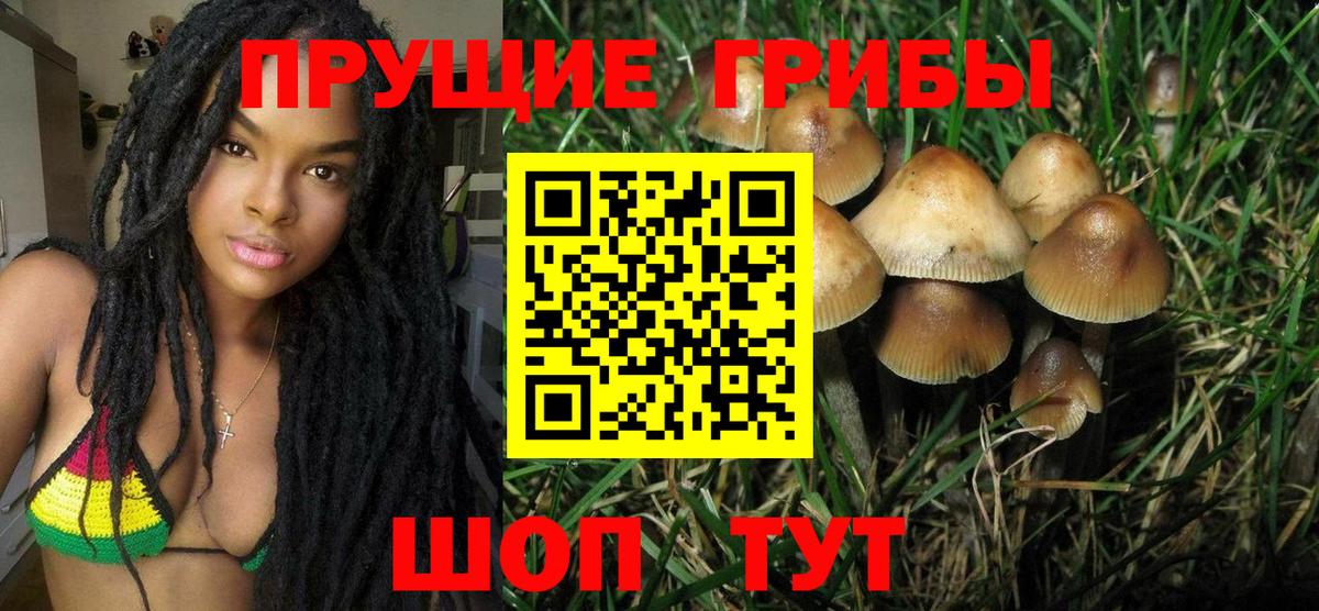 Галлюциногенные грибы мухоморы Южно-Сахалинск