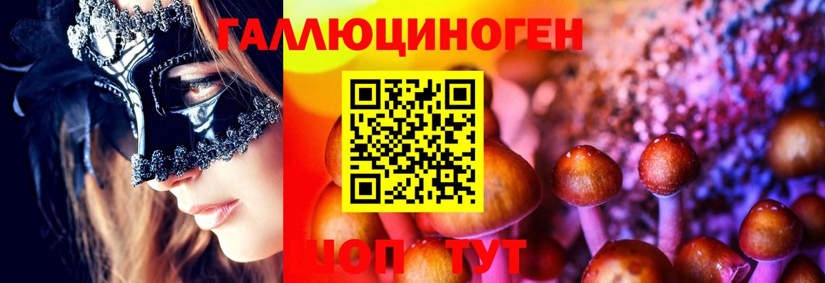 Южно-Сахалинск  Галлюциногенные грибы Psilocybe  Вход с VPN 